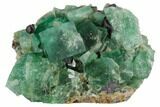 Fluorite Crystal Cluster with Galena- Rogerley Mine #132974-1